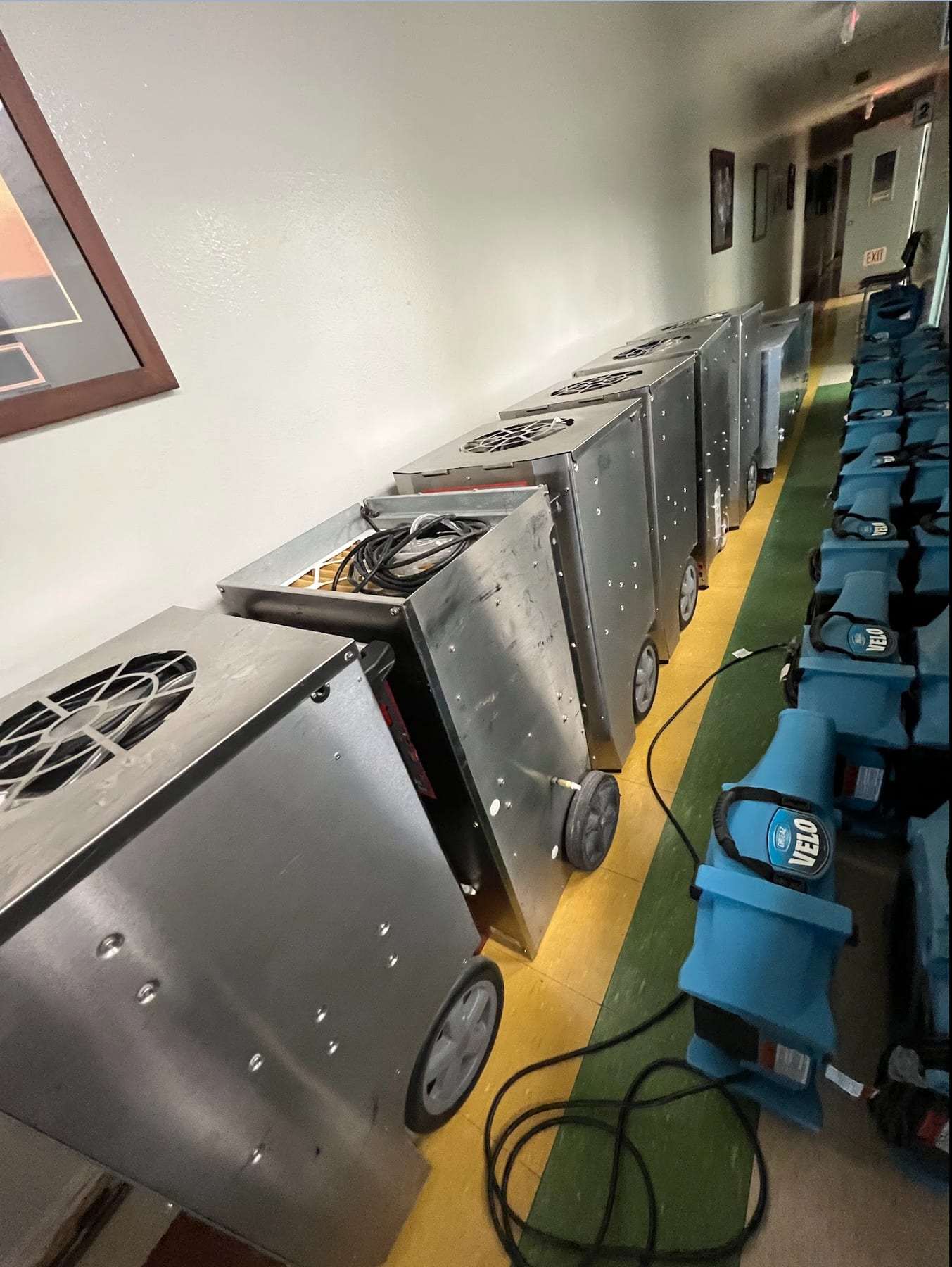 Row of dehumidifiers and air movers drying a long hallway