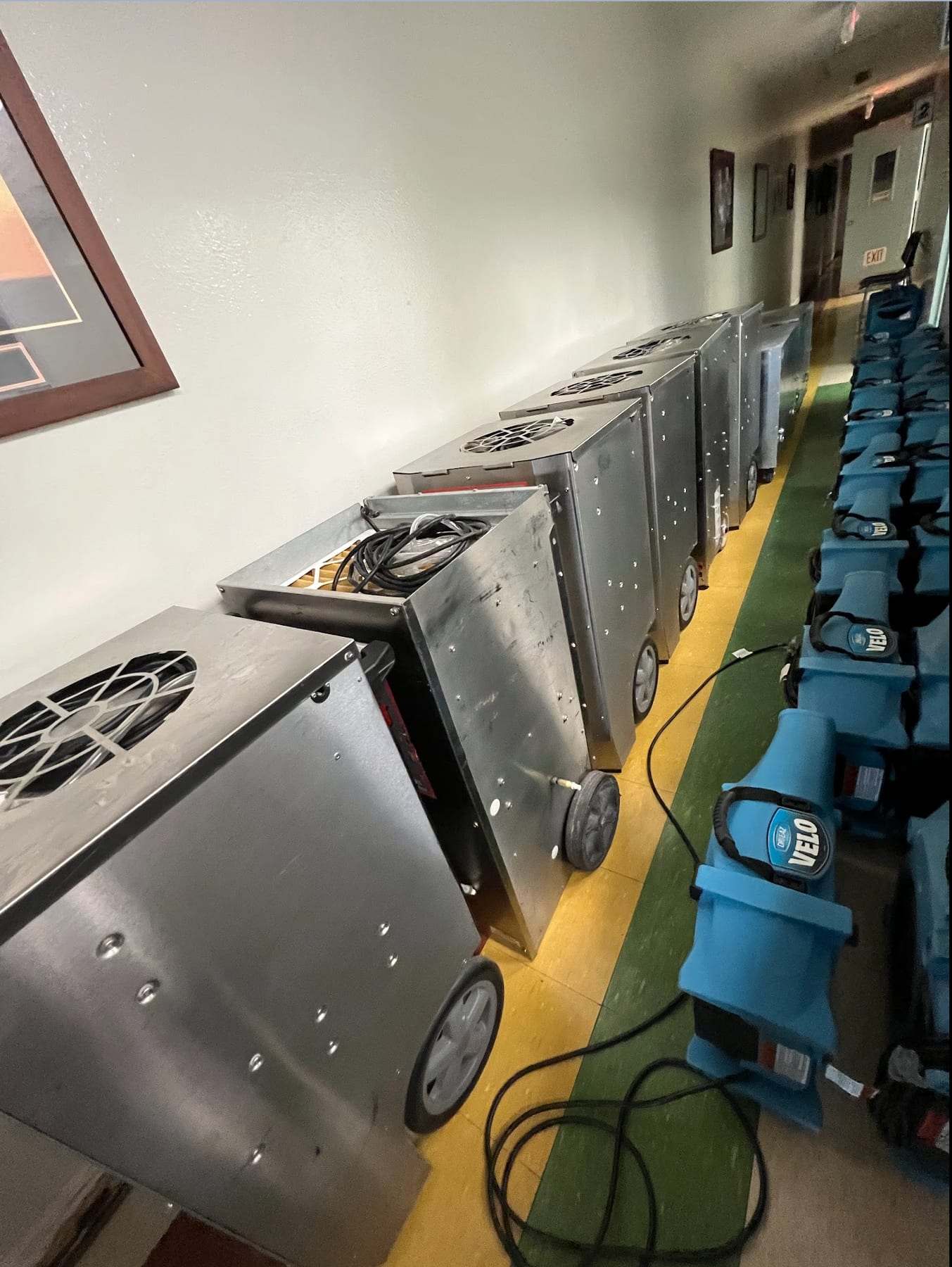 Row of dehumidifiers and air movers drying a long hallway